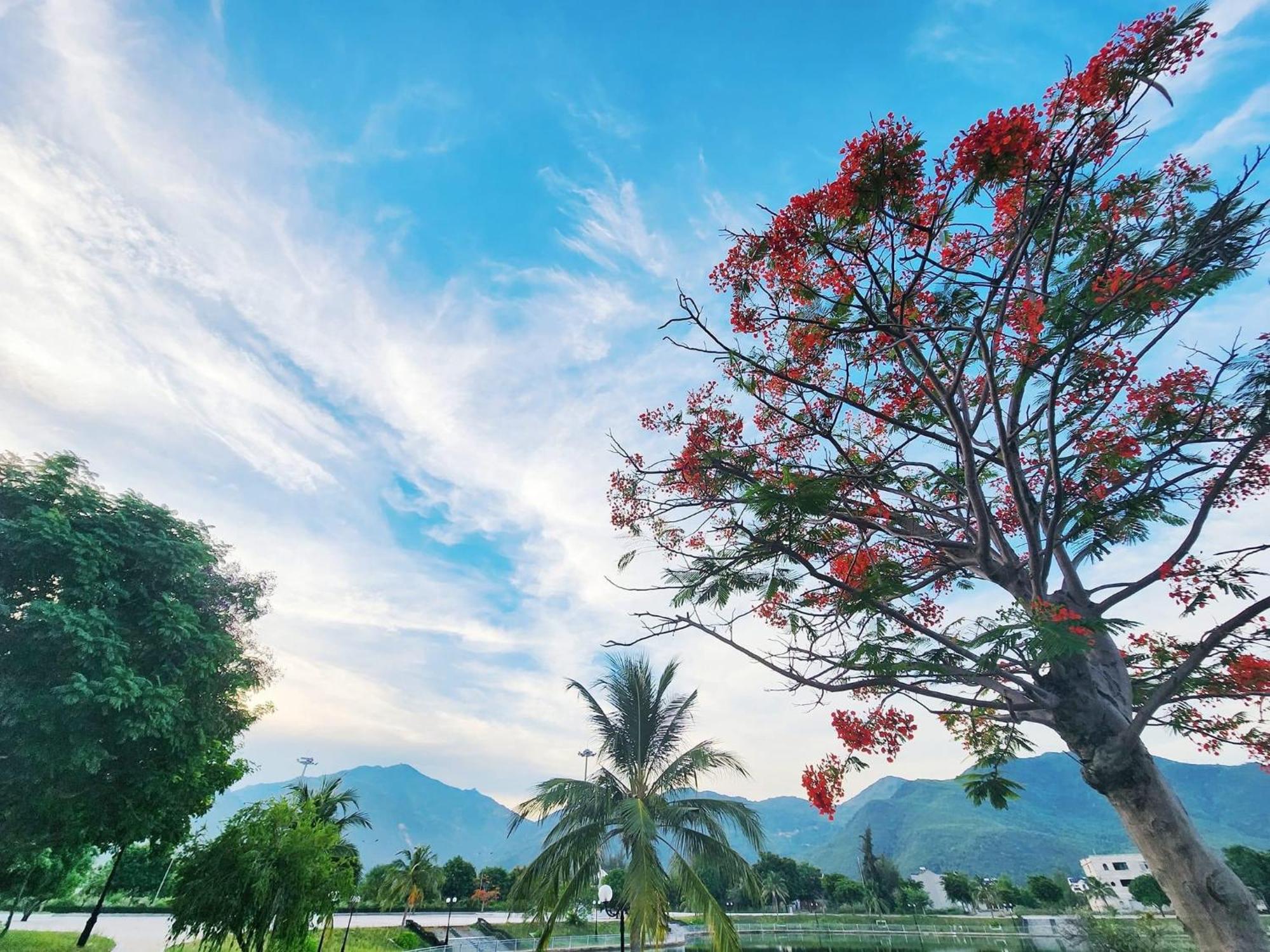 Moc Homestay- Near Bai Dai Beach Cam Lam المظهر الخارجي الصورة