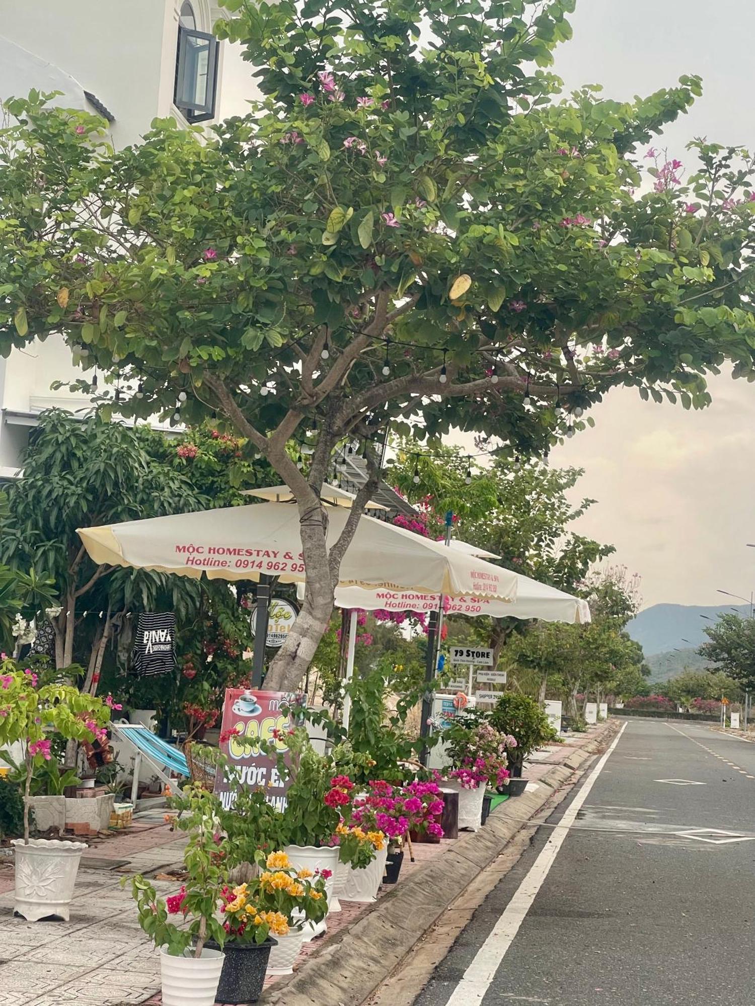 Moc Homestay- Near Bai Dai Beach Cam Lam المظهر الخارجي الصورة